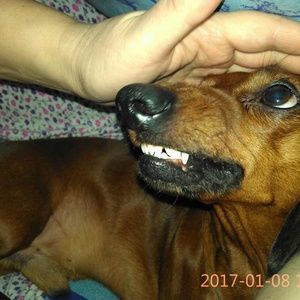 Meet your Posher, Dzmitry